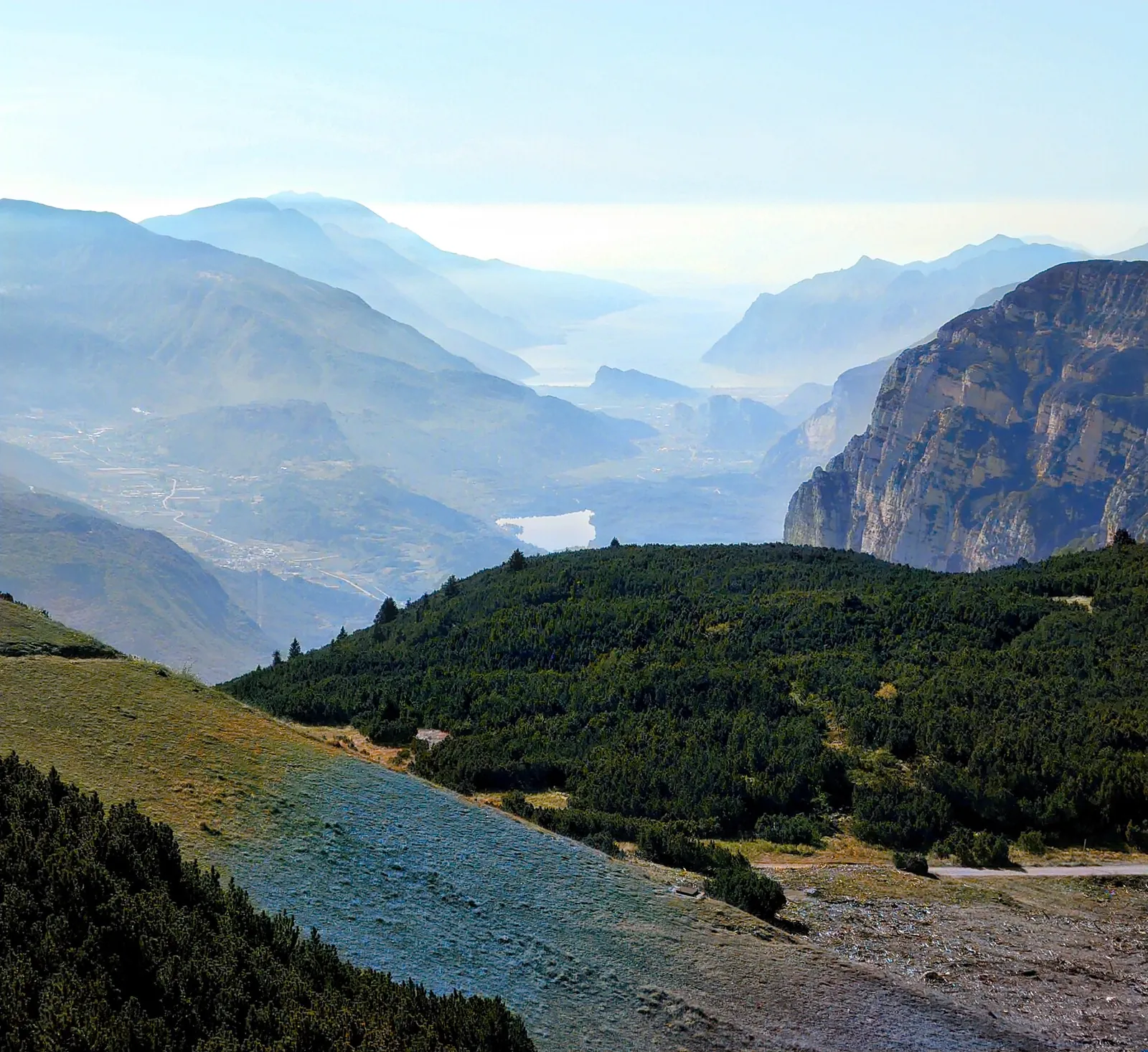The same valley after Colorize: blue haze, green pines, warm grass